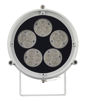 Reef LED Floodlight | GLG